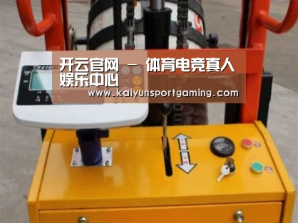 开云官网案例展示三